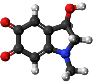 Adrenochrome_3D